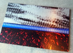 The Borderline, Digital on Metal