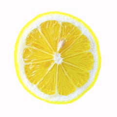 Zitronen Lemon, Fotografie, Silber Hals/Gelatin