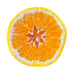 Tangerine, Photograph, Silver Hal/Gelatin