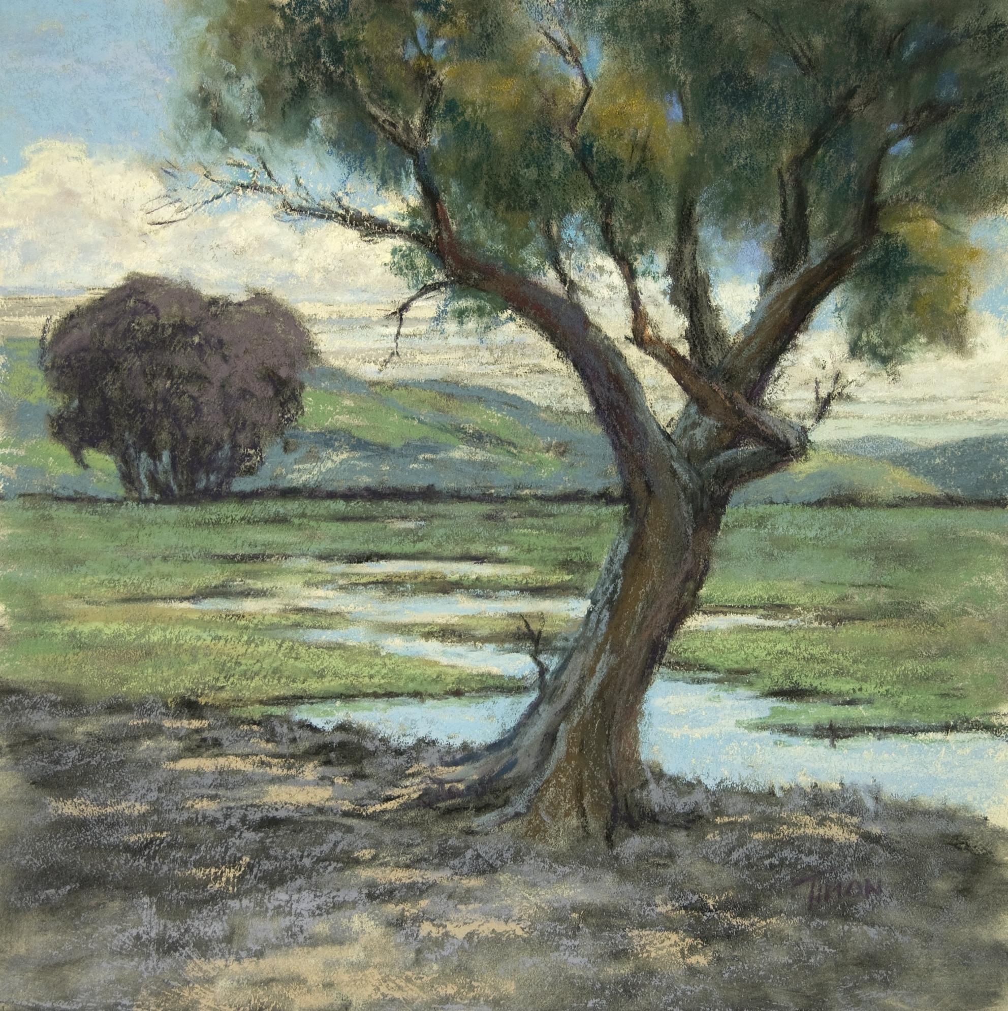 Vista della Sentinella, Disegno, Pastelli su carta vetrata a pastello - Art di Timon Sloane