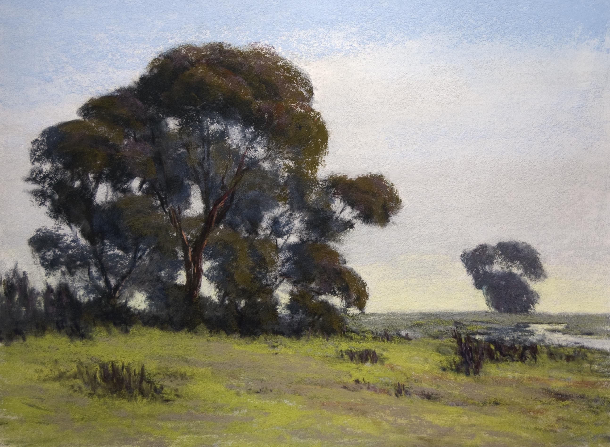 Groves, Zeichnung, Pastellfarben auf pastellfarbenem Sandpapier – Art von Timon Sloane