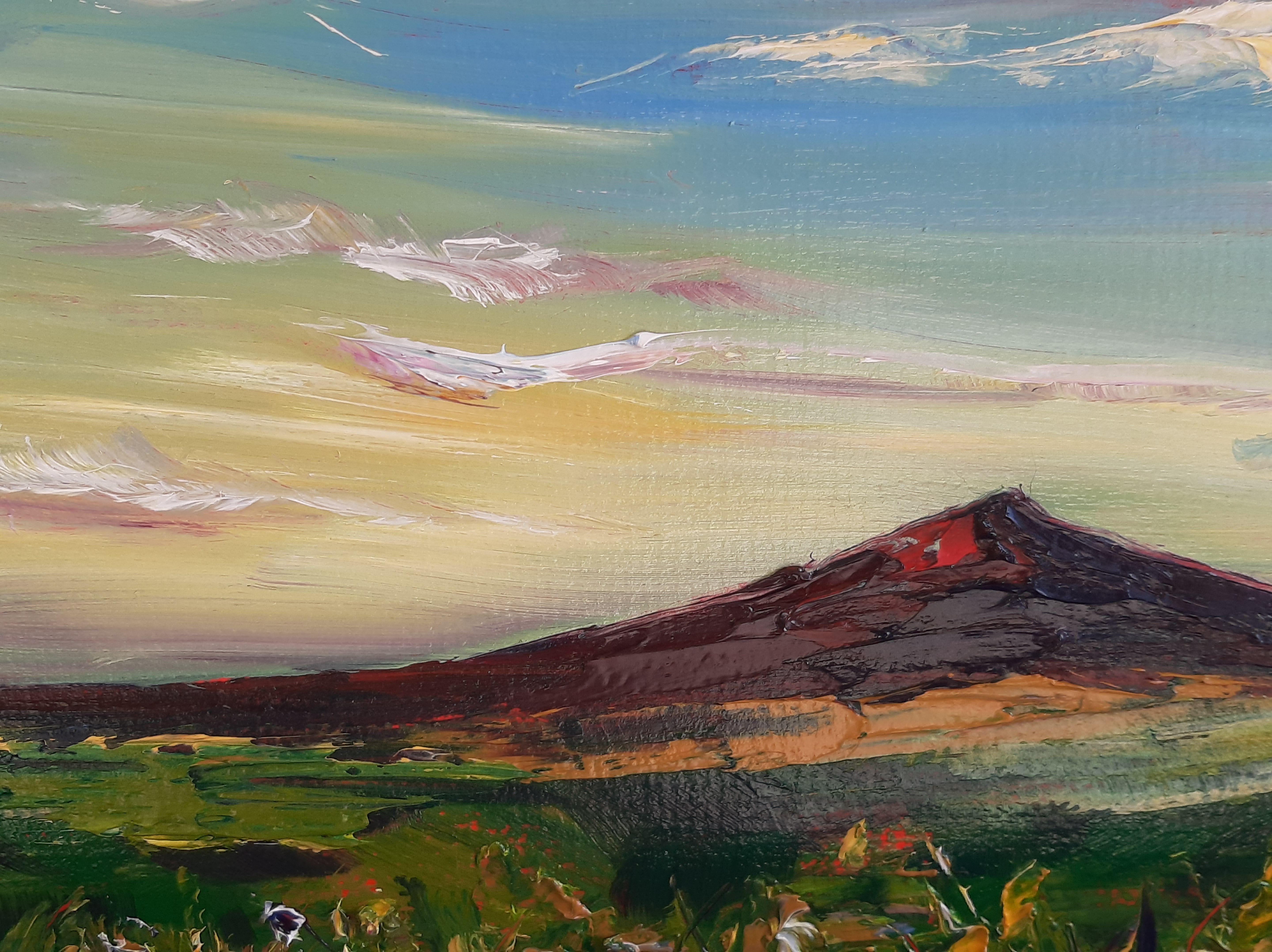 Into the Sun is a painting of the distant slopes of Croghan Mountain on the borders of Wicklow and Wexford, I am lucky enough to have a view of this mountain from my garden..  Into the Sun is filled with the warm glow of sunset as it fills the sky