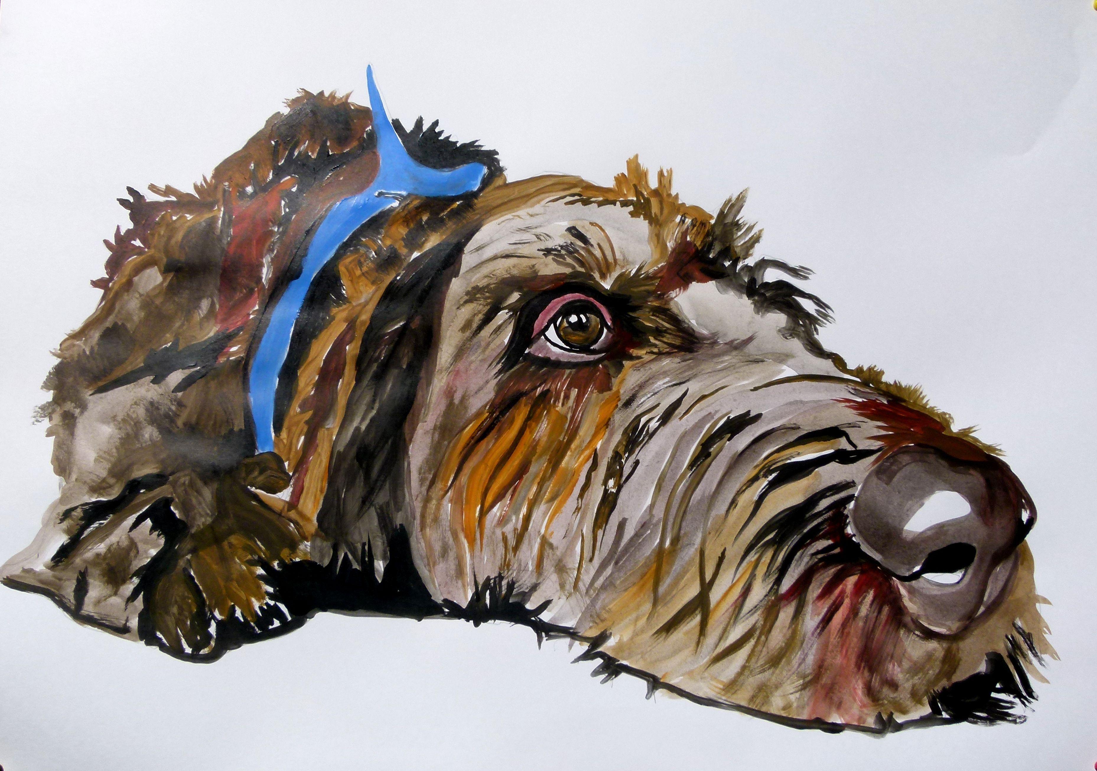 German wirehaired pointer, Painting, Acrylic on Paper