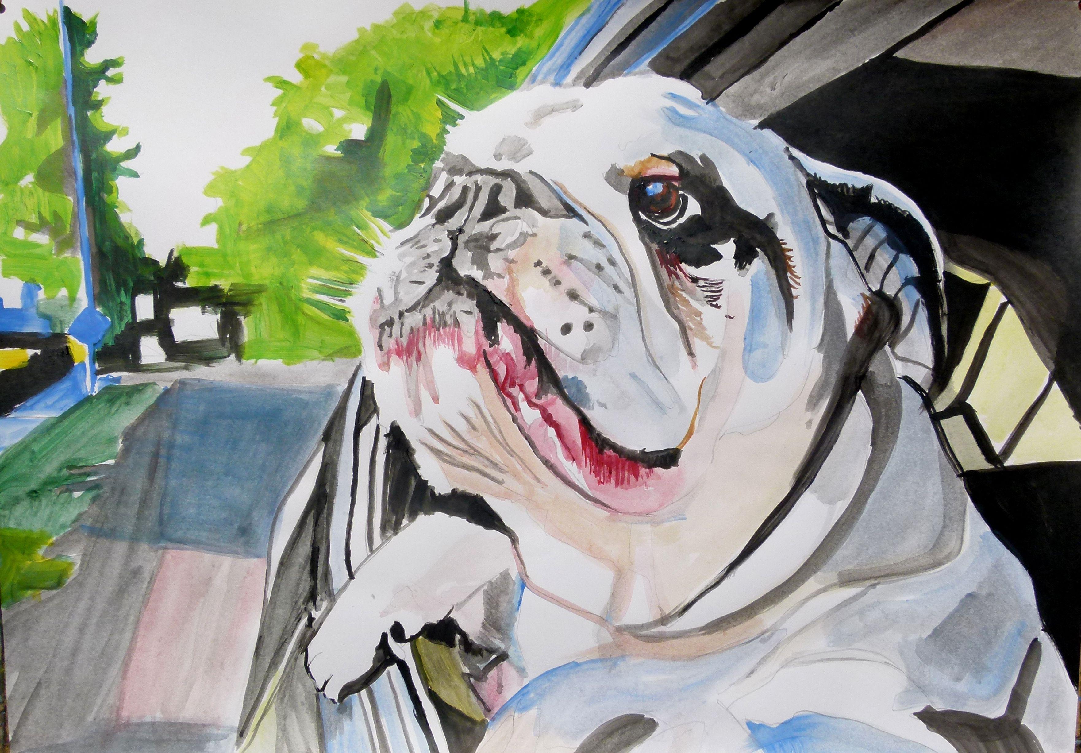 Bulldog, Painting, Acrylic on Paper