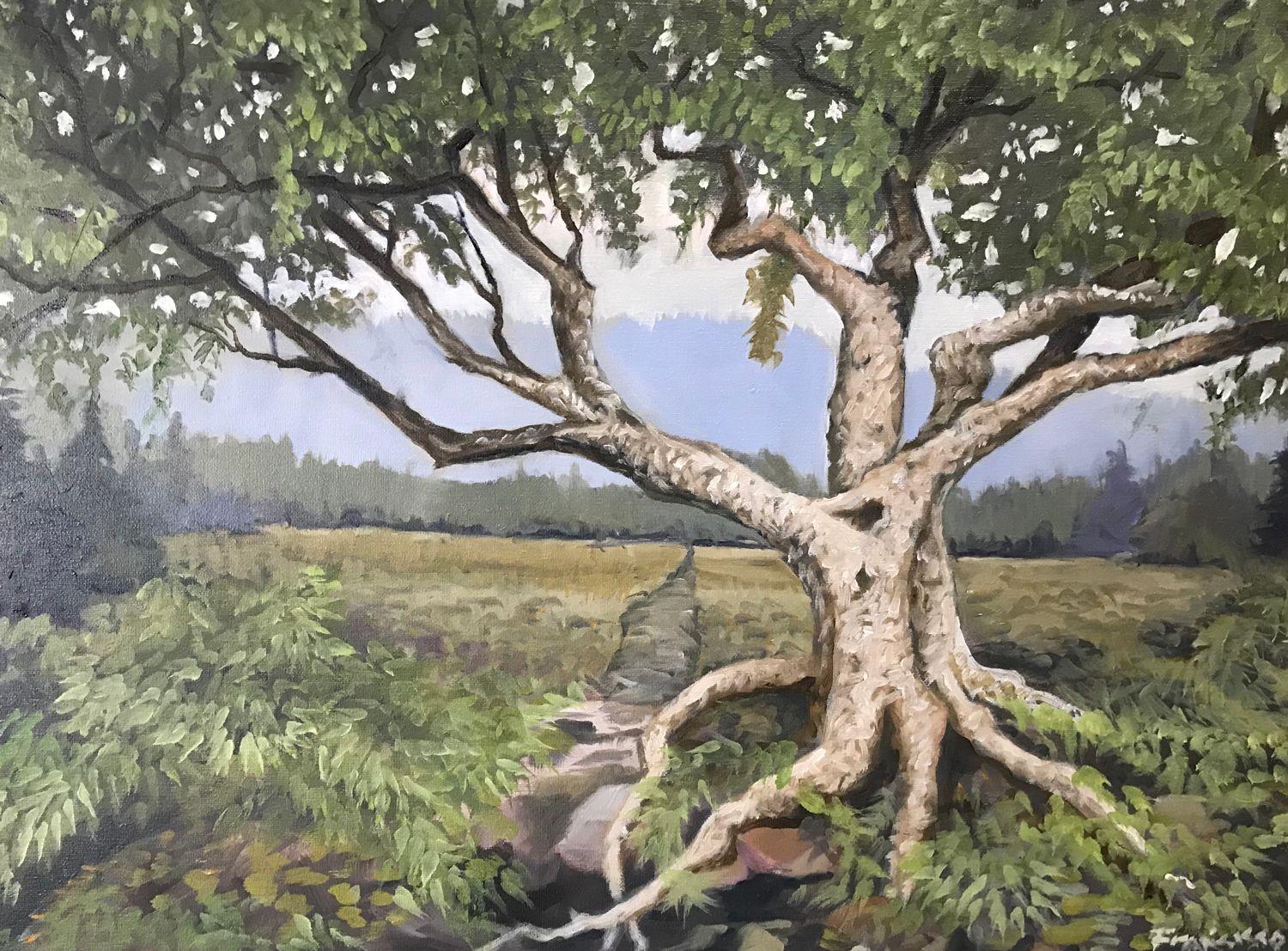 Features a large, old tree, stripped of much of its bark, with roots exposed over many years. :: Painting :: Realism :: This piece comes with an official certificate of authenticity signed by the artist :: Ready to Hang: No :: Signed: Yes ::