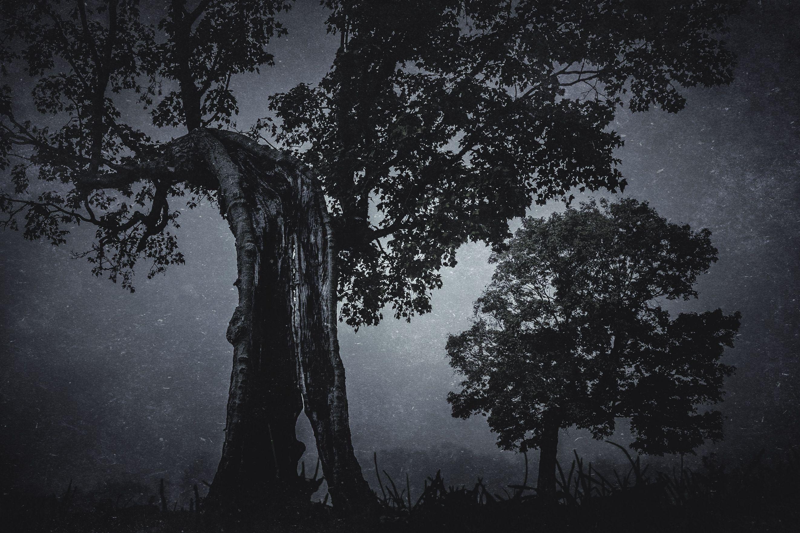 Color Photograph di Asia Popinska - Sleepy Hollow, fotografia, getto d'inchiostro d'archivio
