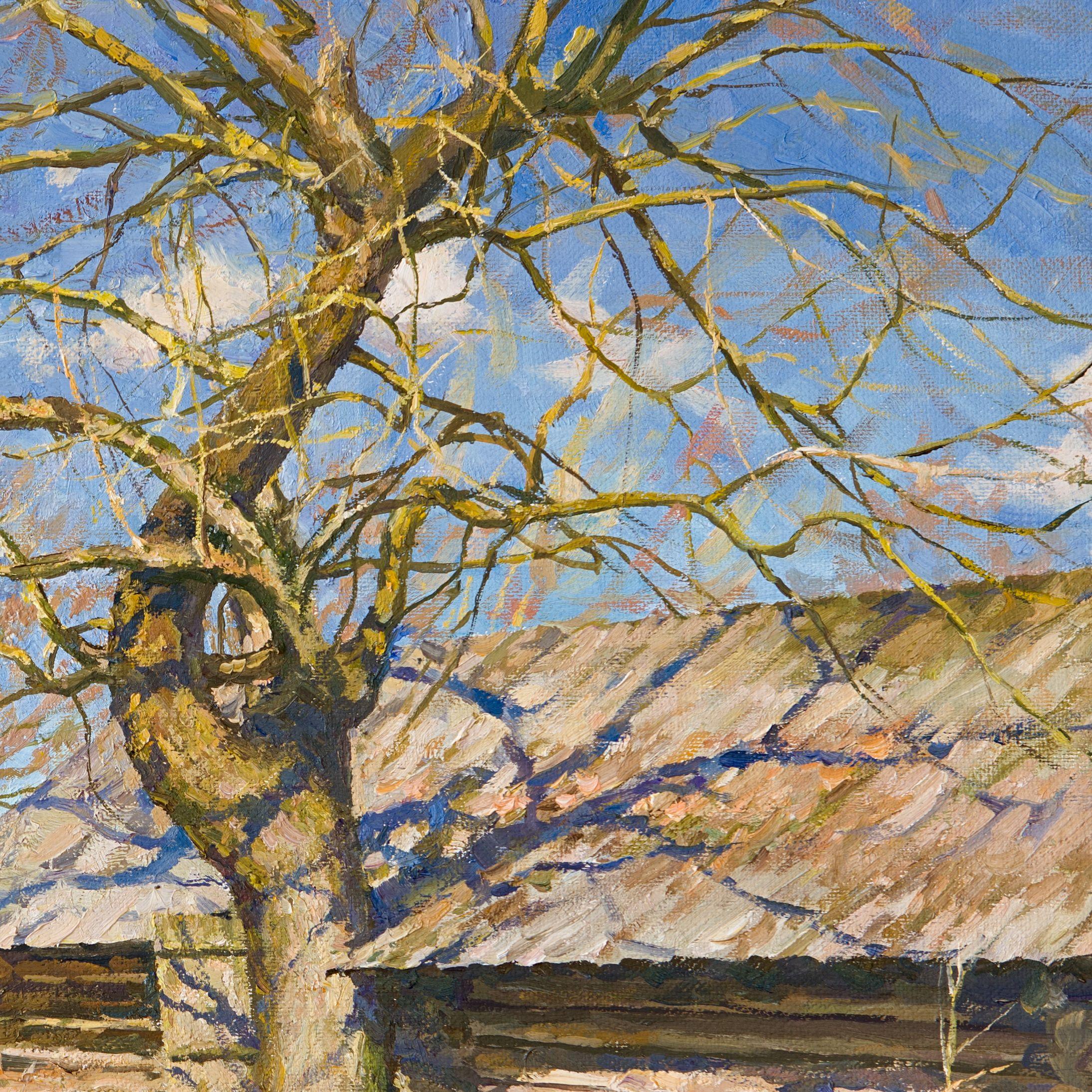The Old Maple, Painting, Oil on Canvas 3