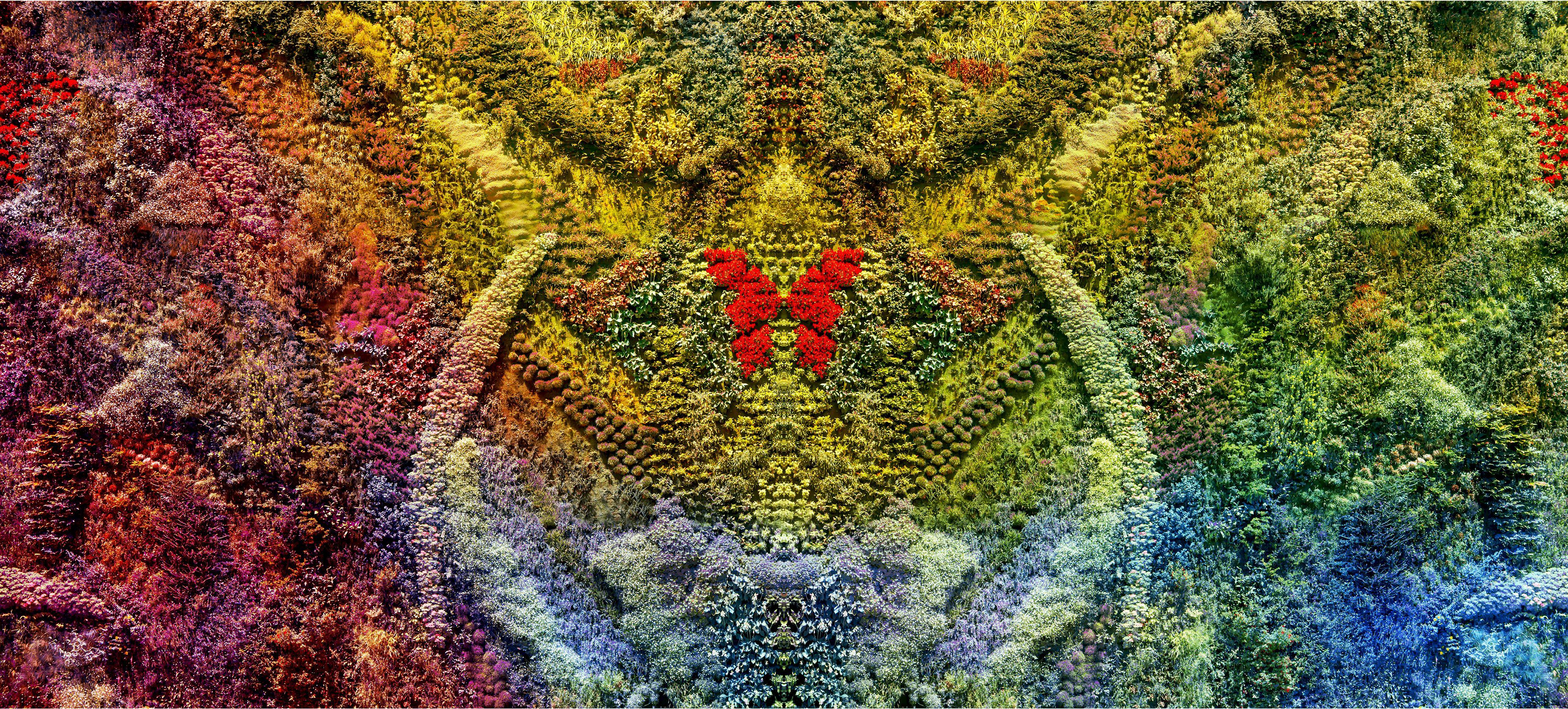 Viet Ha Tran Color Photograph - Wall of Nature VII, Photograph, C-Type