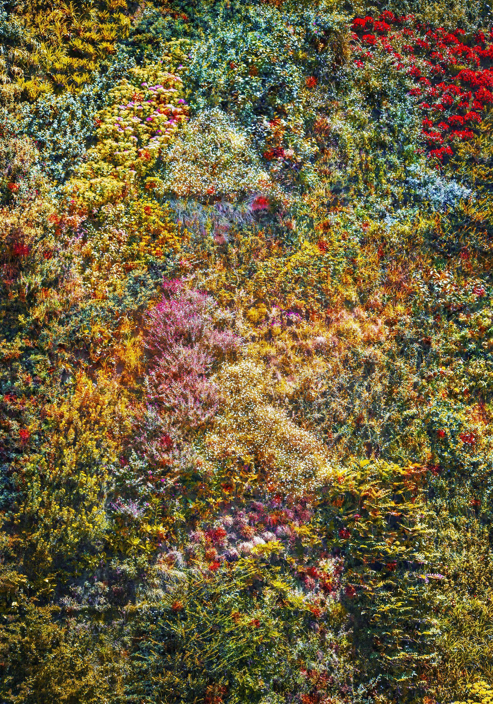 Viet Ha Tran Color Photograph - Wall of Nature I, Photograph, C-Type
