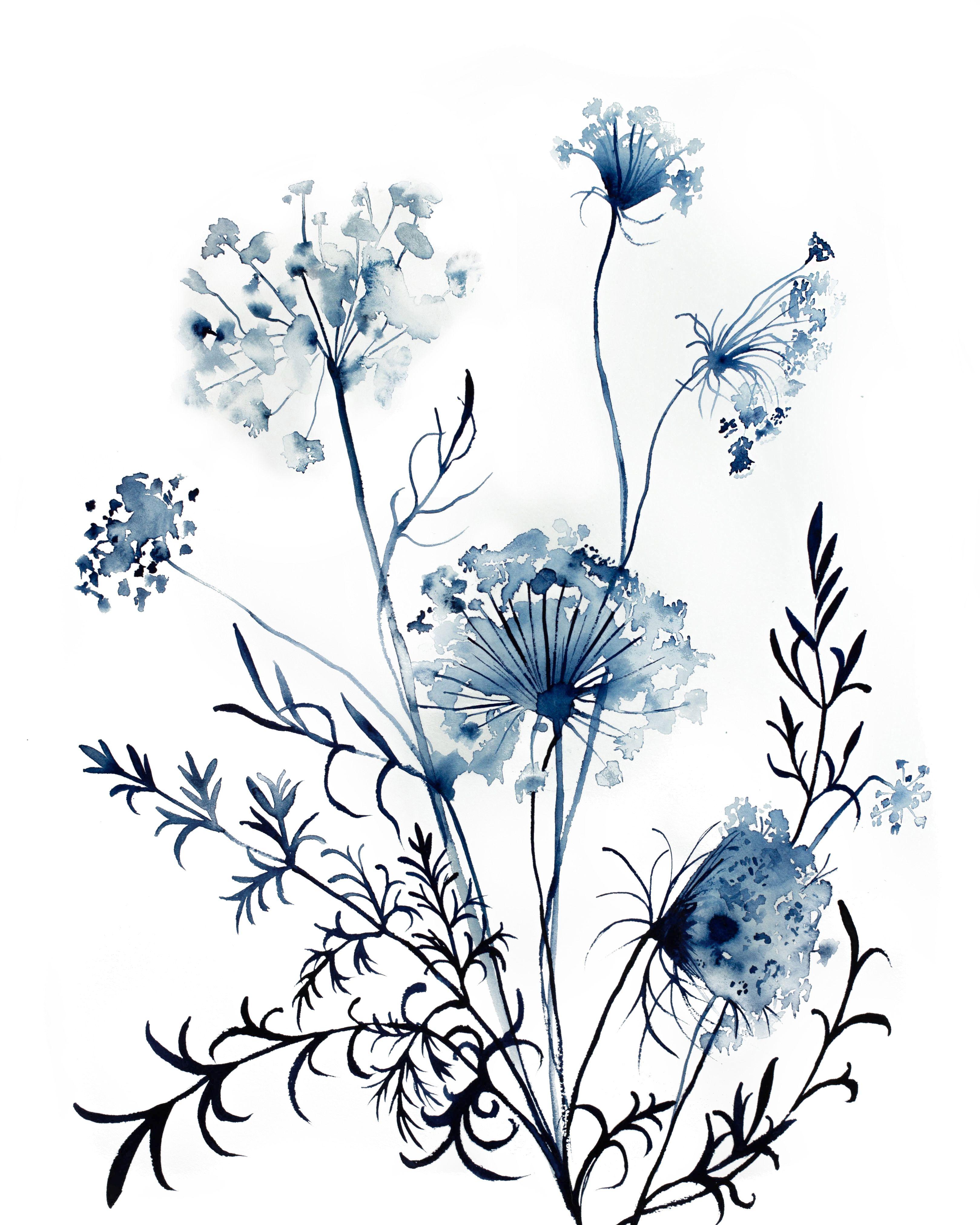 Queen Anne's Lace No. 10, Painting, Watercolor on Paper - Art by Elizabeth Becker