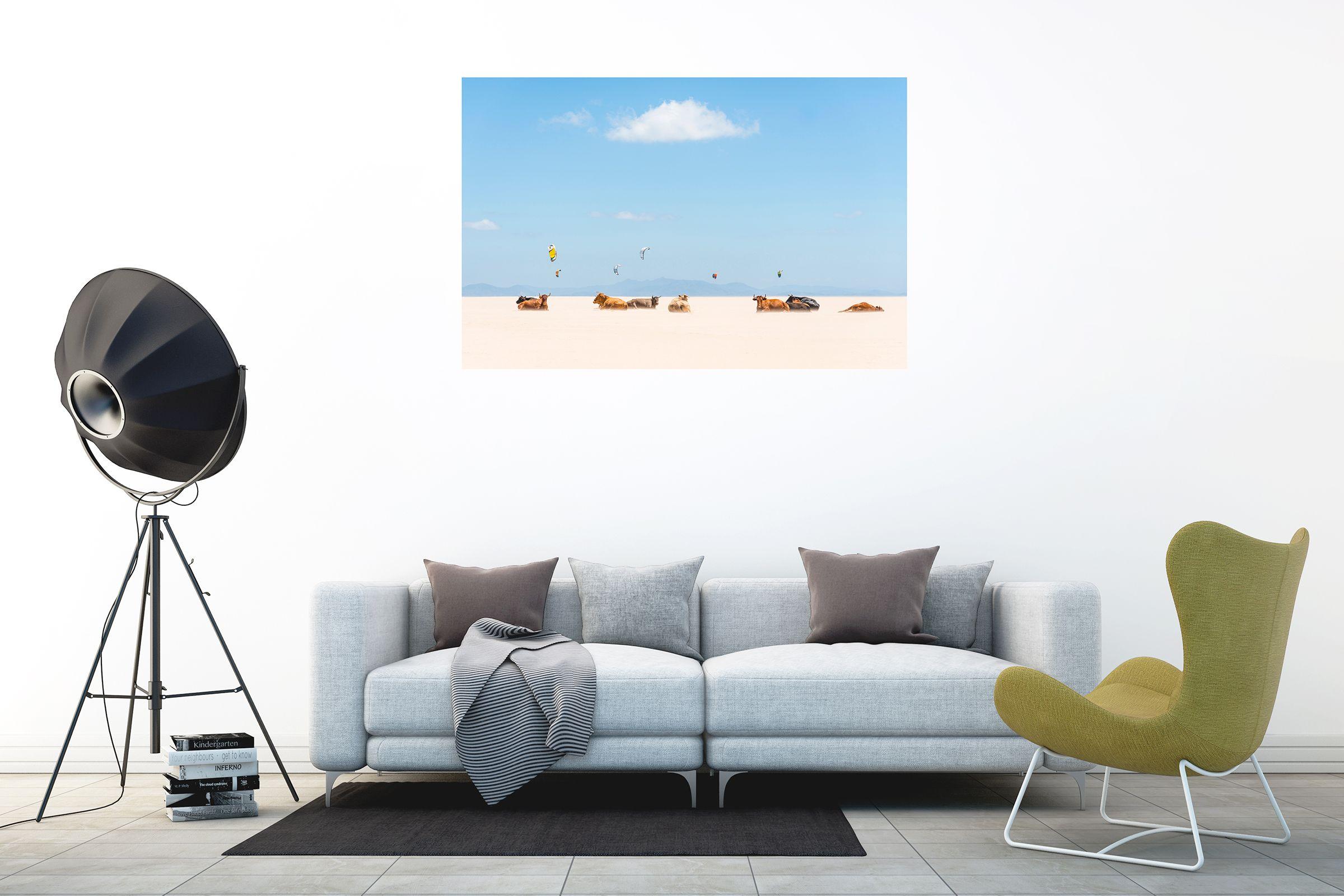 A beautiful colour C type print of a herd of Cows Sunbathing on a beach with numerous kites flying in the backround. Picture taken in Tarifa, Spain.    National Geographic Award Winning Image.    The image is a National Geographic Award winner and