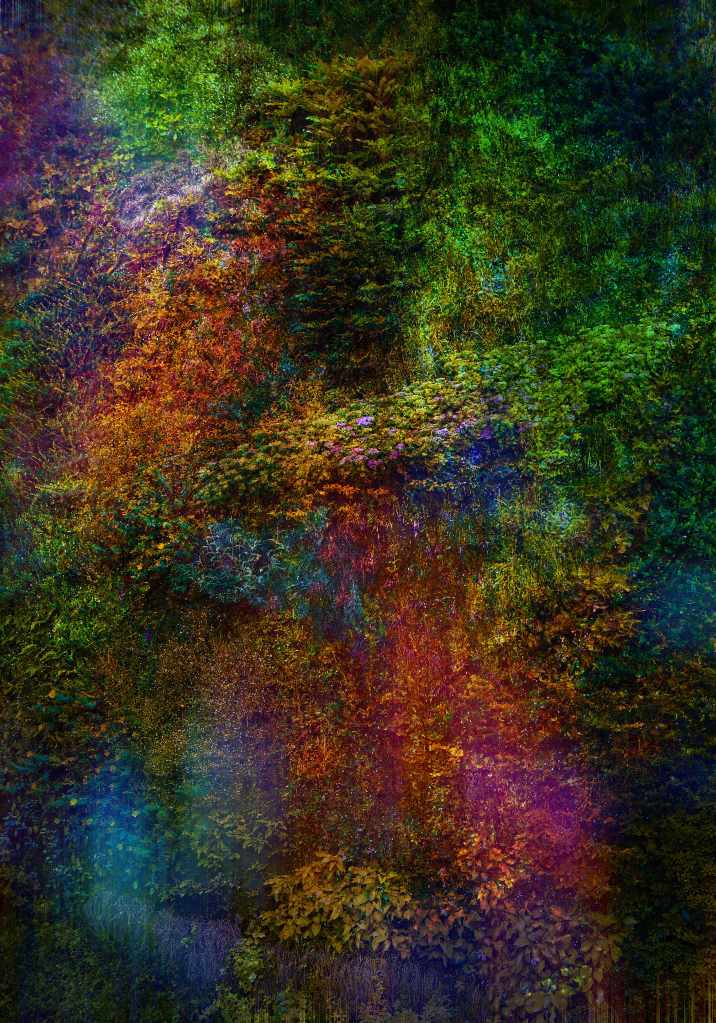 Viet Ha Tran Color Photograph – Wand der Natur XV, Fotografie, C-Typ
