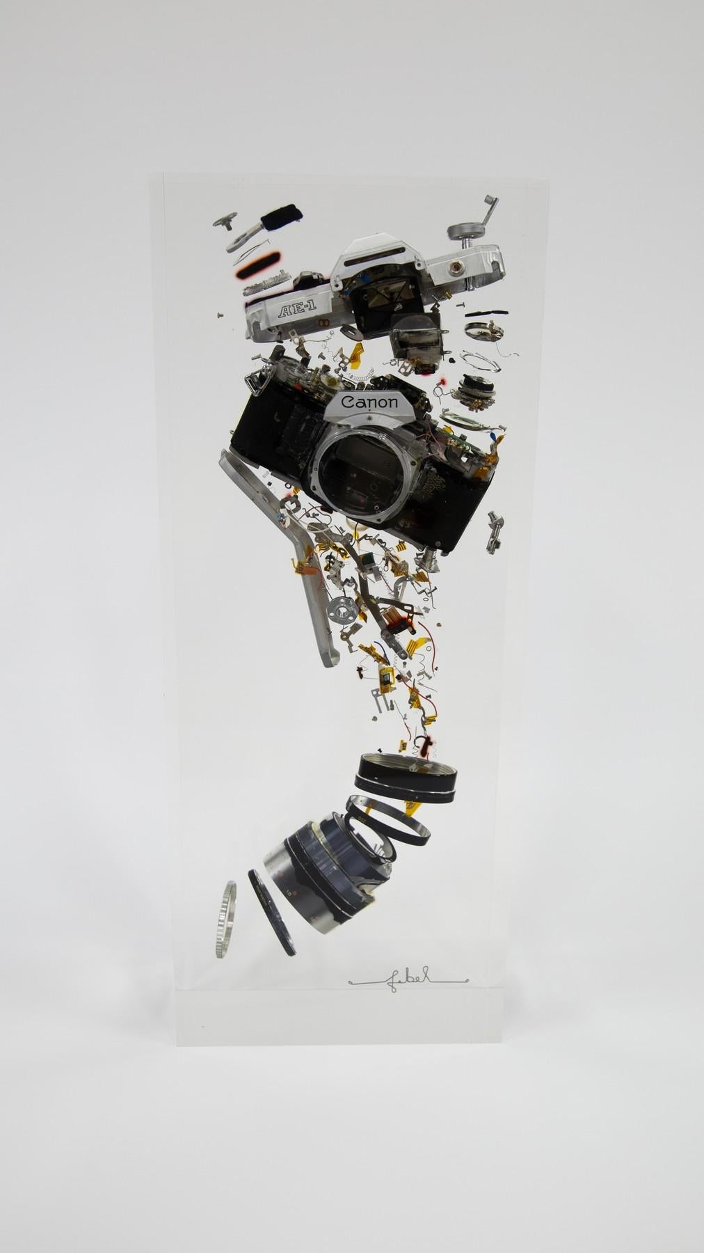 Canon AE1 - Mixed Media Art by Francois Bel