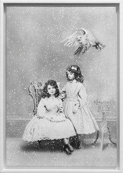 Sisters and Snowy Owl