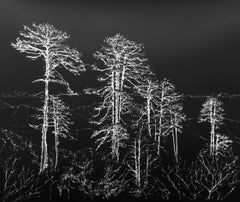 Dochula Pass, Bhutan (with text from the Paris Climate Accord)