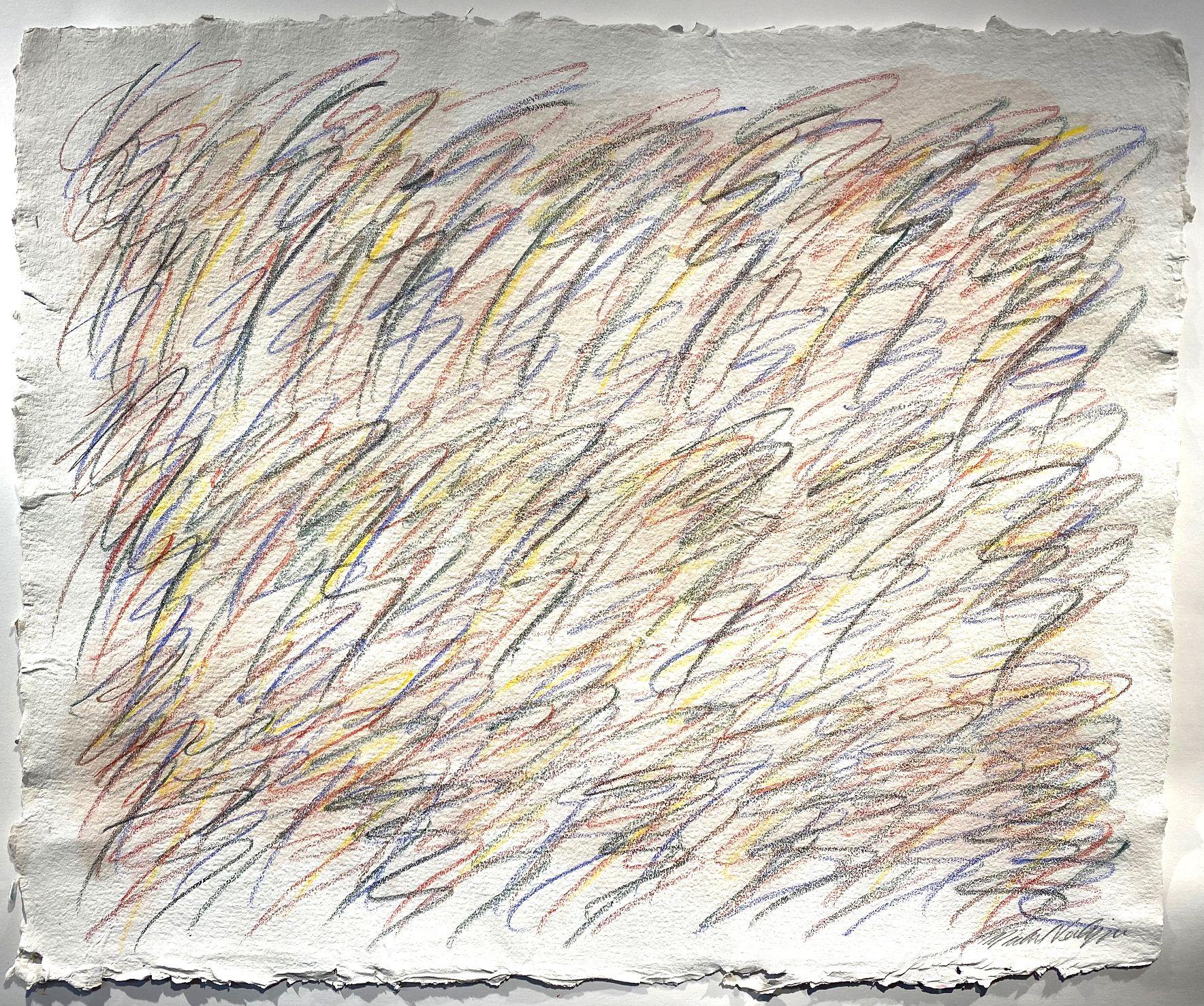 Drawing on Handmade Paper #7222020, Drawing, Pencil/Colored Pencil on Paper - Art by Michael Verlangieri