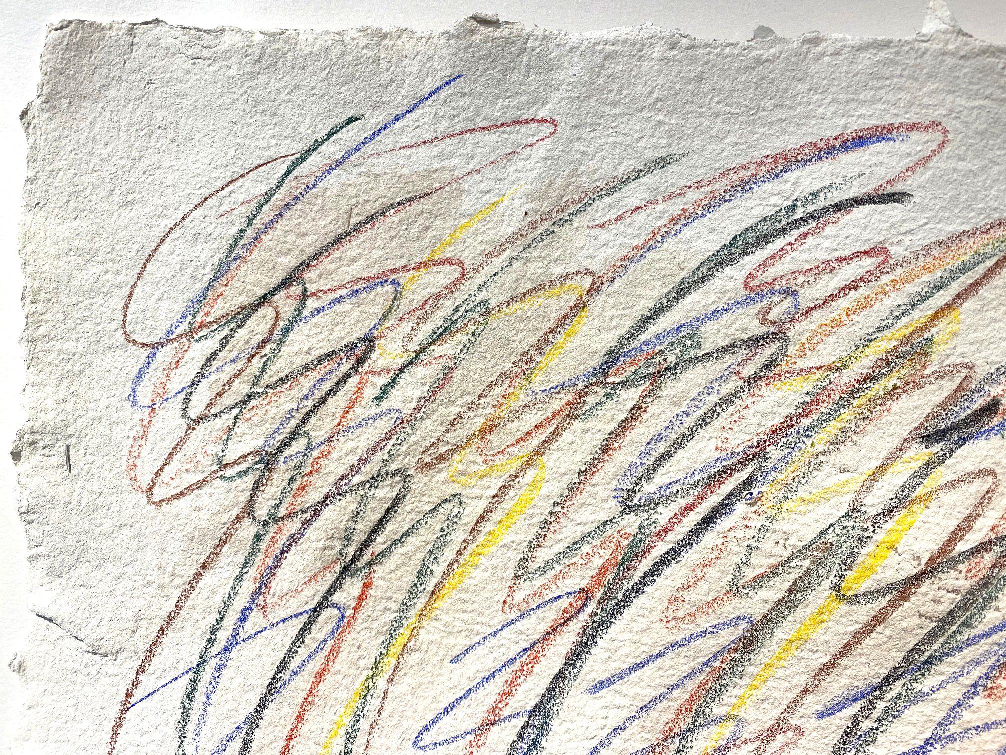 Handgezeichnetes Unikat auf 100% Baumwoll-Büttenpapier vom Künstler Michael Verlangieri. :: Zeichnung :: Zeitgenössisch :: Dieses Werk wird mit einem offiziellen, vom Künstler unterzeichneten Echtheitszertifikat geliefert :: Bereit zum Aufhängen: