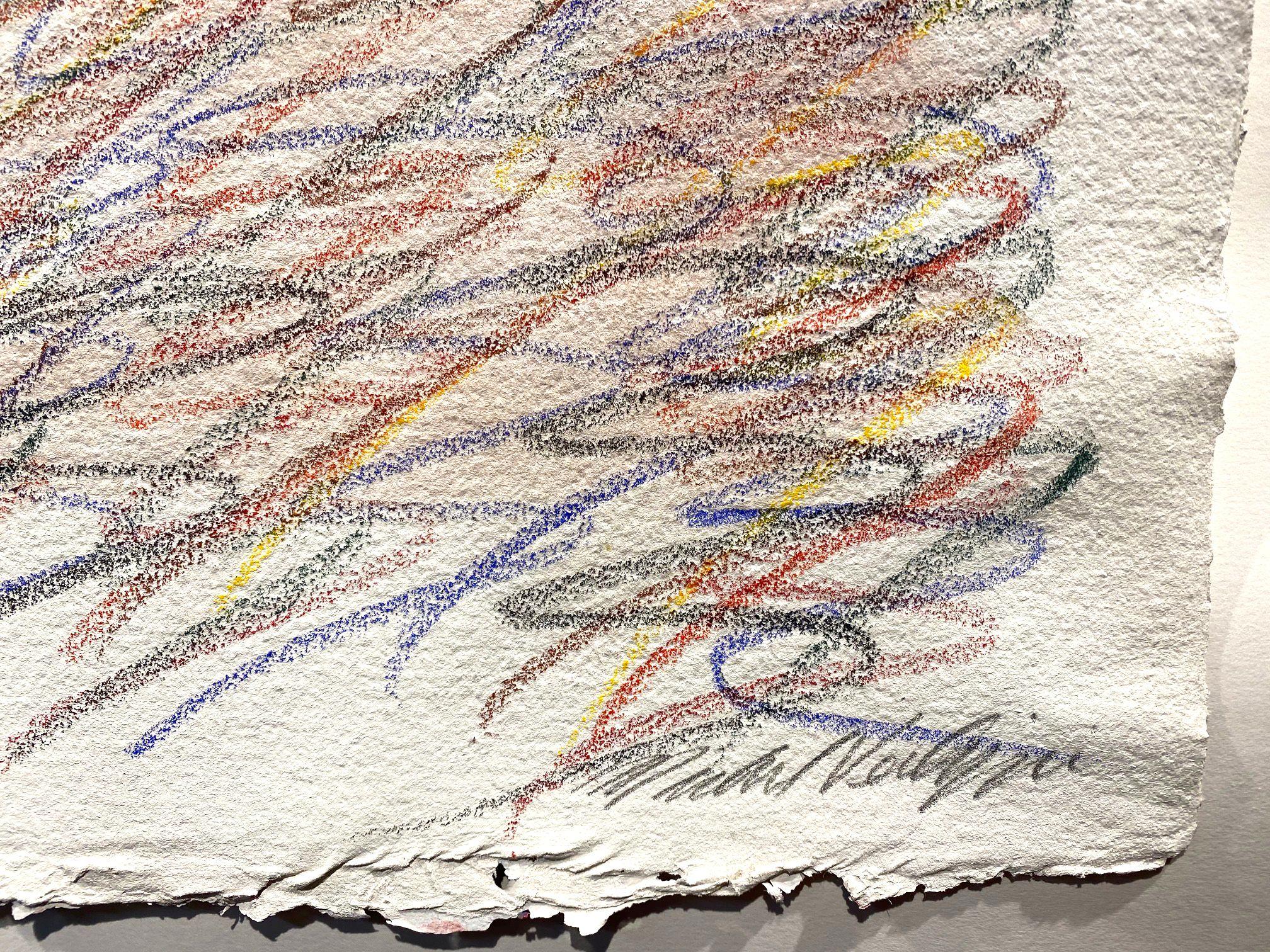 Drawing on Handmade Paper #7222020, Drawing, Pencil/Colored Pencil on Paper - Contemporary Art by Michael Verlangieri