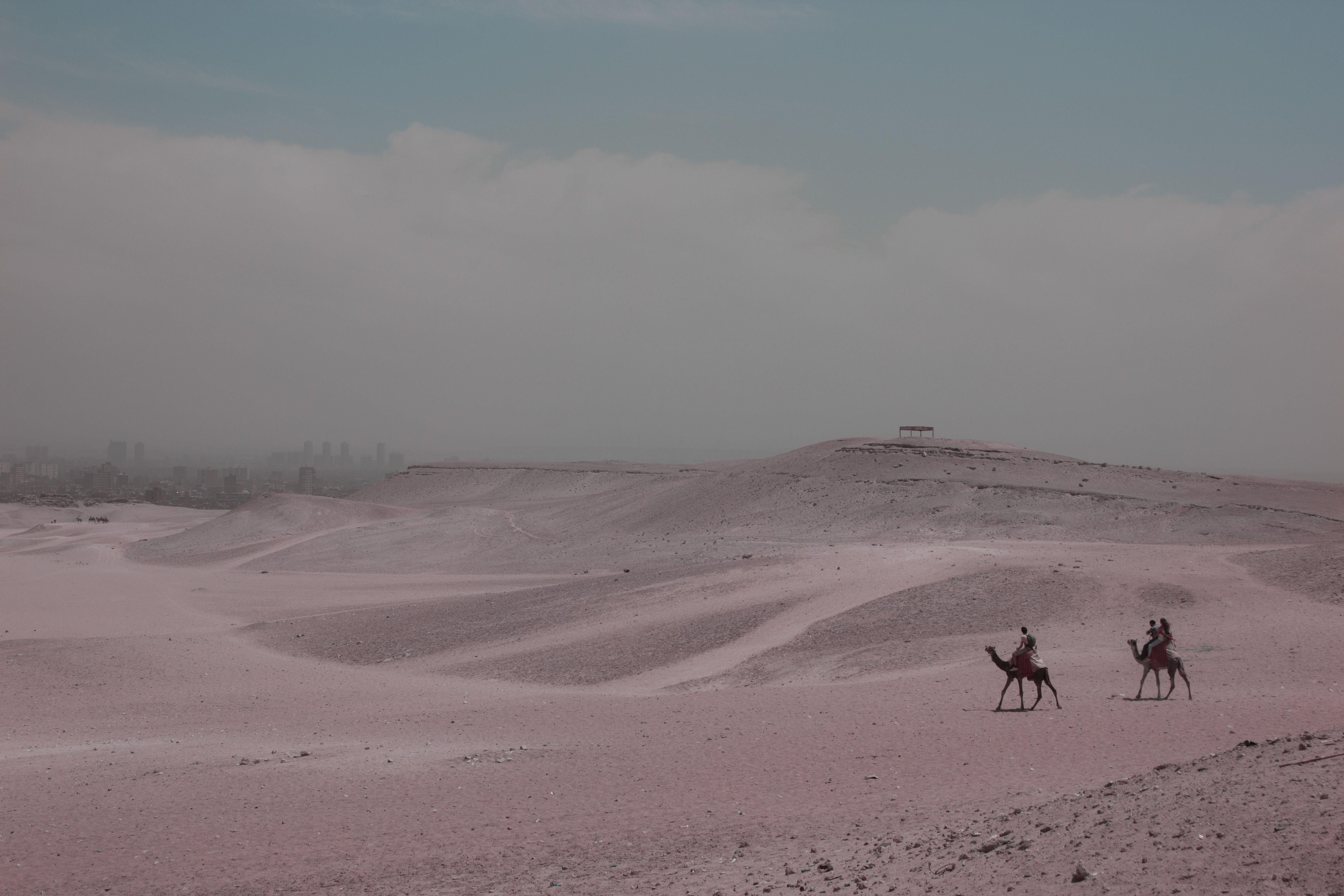 Giza II, Photograph, C-Type