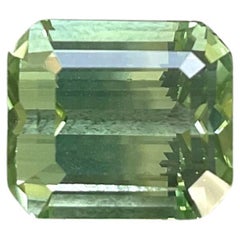 12.37 Carats Green Tourmaline Octagon Faceted Top Quality Cut stone Natural Gem