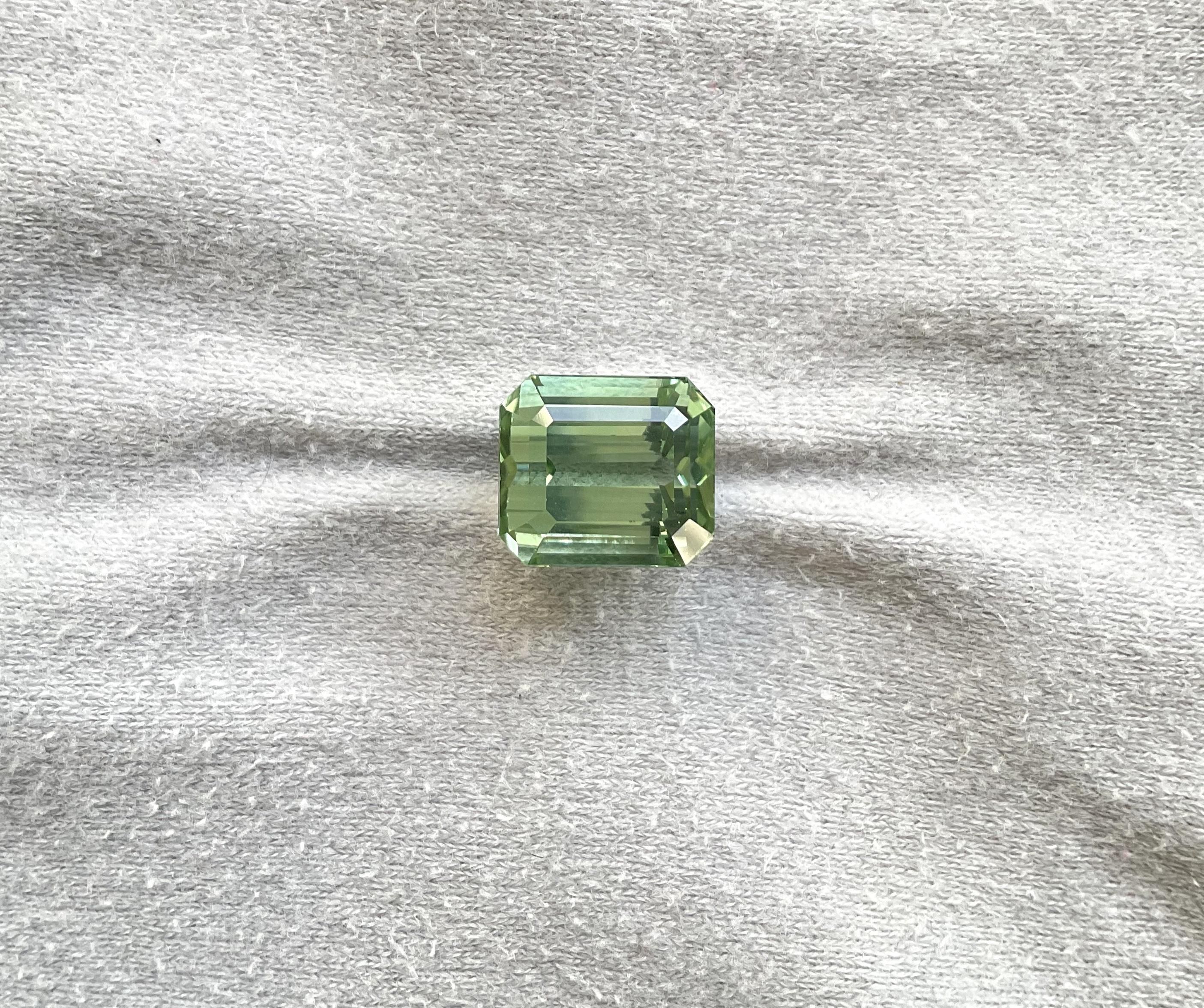 12.37 Carats Green Tourmaline Octagon Faceted Top Quality Cut stone Natural Gem In New Condition For Sale In Jaipur, RJ