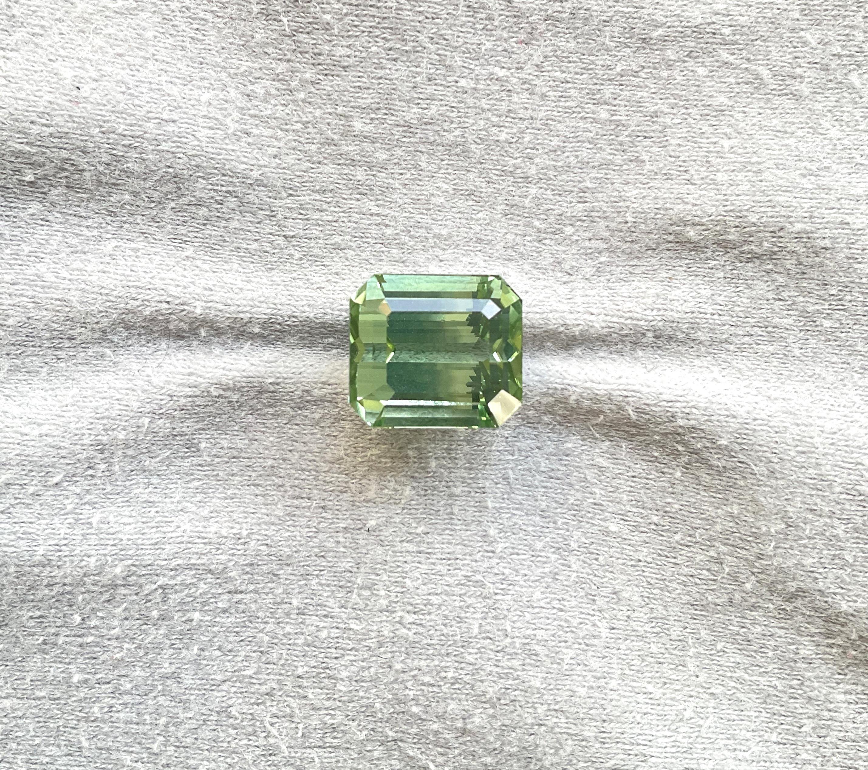 Women's or Men's 12.37 Carats Green Tourmaline Octagon Faceted Top Quality Cut stone Natural Gem For Sale
