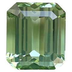 12.37 Carats Green Tourmaline Octagon Faceted Top Quality Cut stone Natural Gem