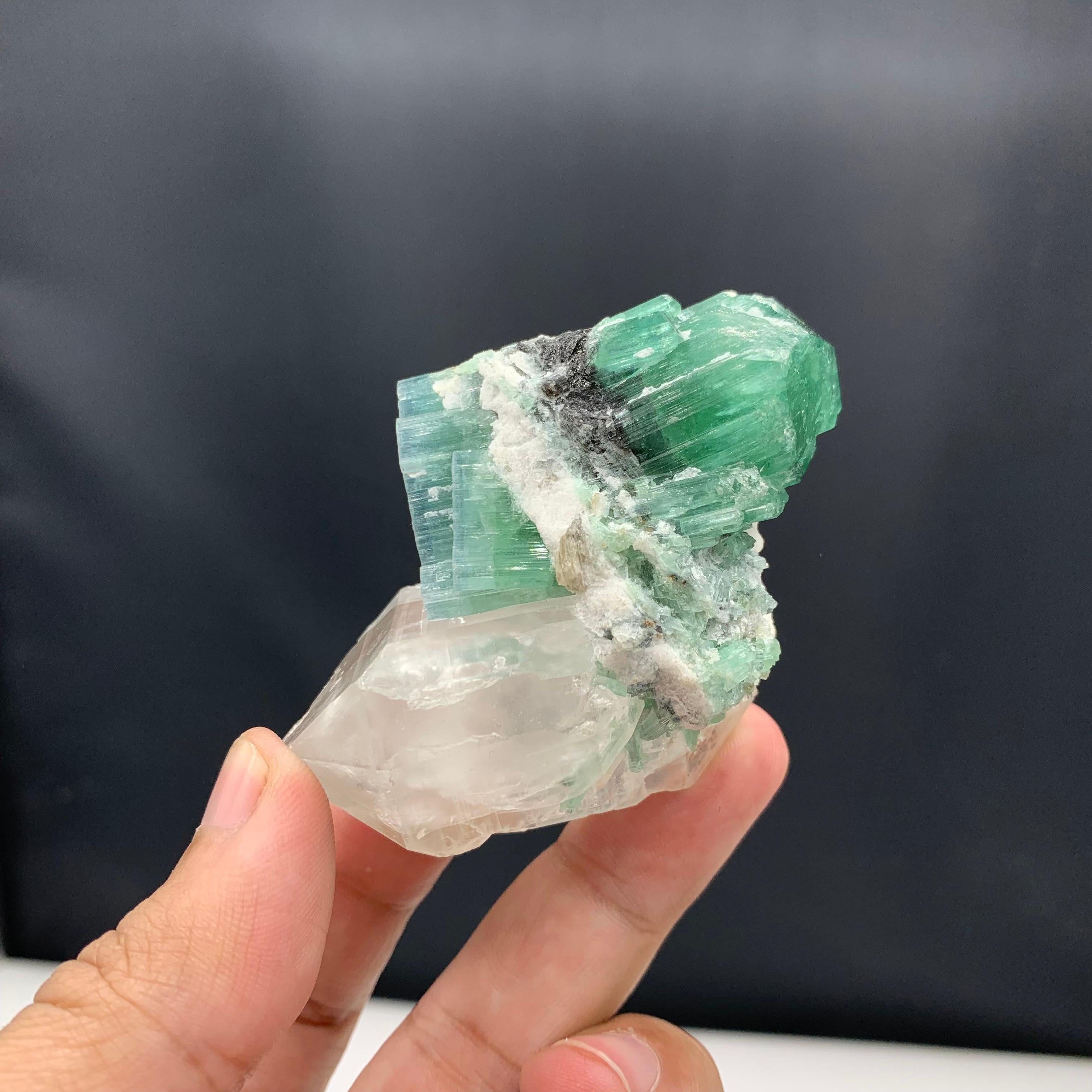 Rock Crystal 123.89 Gram Gorgeous Double Terminated Tourmaline With Quartz Specimen  For Sale