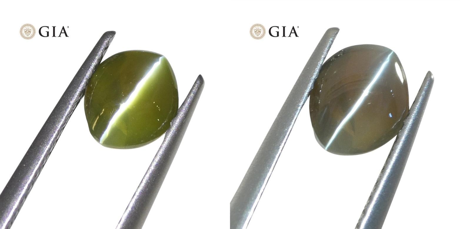 This is a stunning GIA Certified Cat's Eye Alexandrite

 

The GIA report reads as follows:

GIA Report Number: 5221590733
Shape: Marquise
Cutting Style: Double Cabochon
Cutting Style: Crown:
Cutting Style: Pavilion:
Transparency: