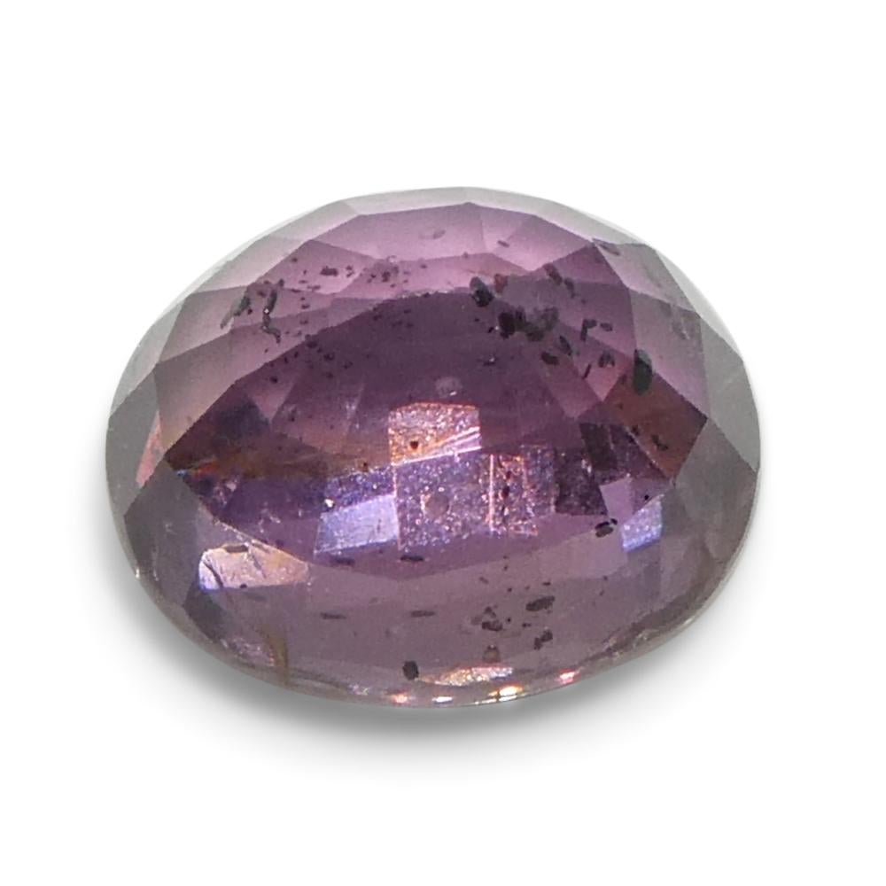 Zafiro ovalado rosa púrpura de Tanzania, sin calentar, 1,23 quilates en venta 6