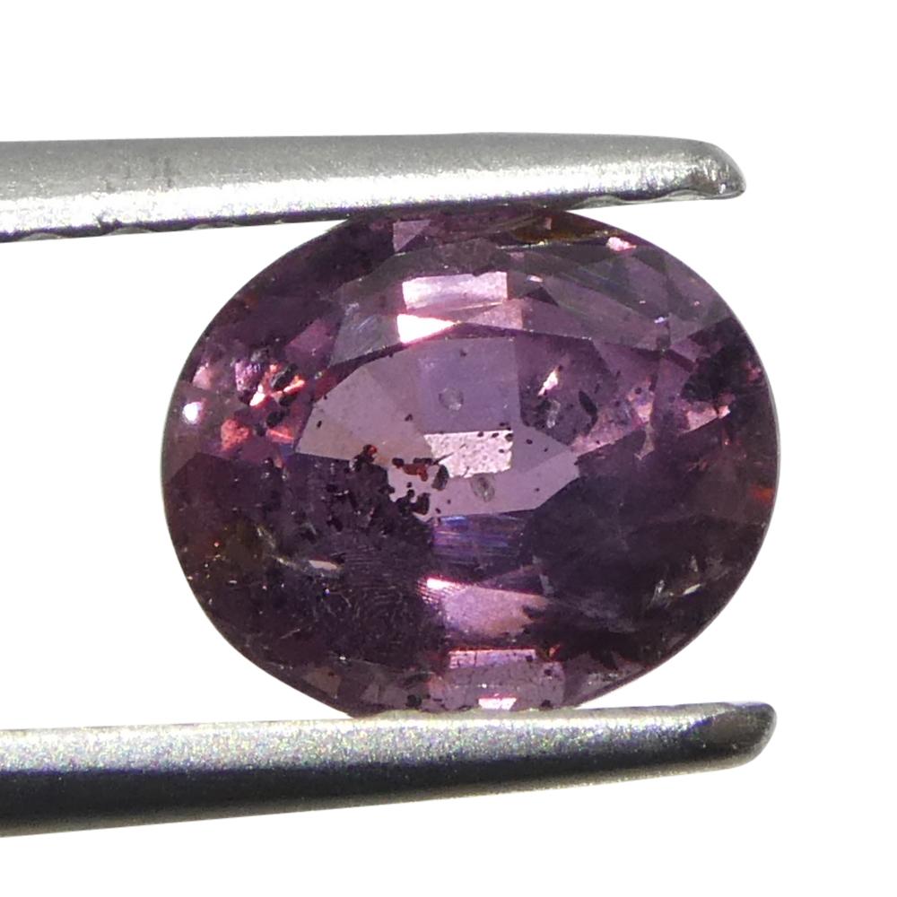 Zafiro ovalado rosa púrpura de Tanzania, sin calentar, 1,23 quilates en venta 7
