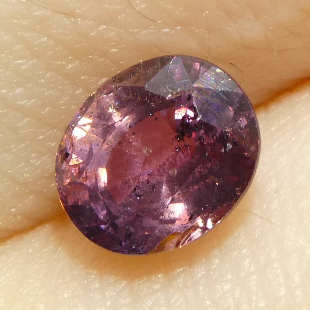 Zafiro ovalado rosa púrpura de Tanzania, sin calentar, 1,23 quilates en venta 8