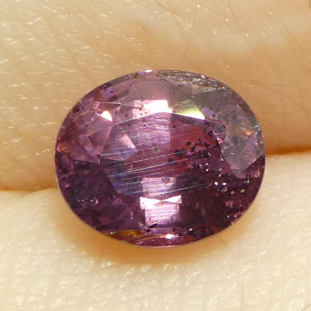 Zafiro ovalado rosa púrpura de Tanzania, sin calentar, 1,23 quilates en venta 9