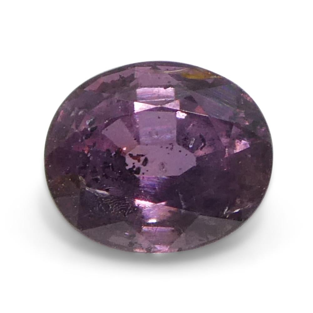 Zafiro ovalado rosa púrpura de Tanzania, sin calentar, 1,23 quilates en venta 1