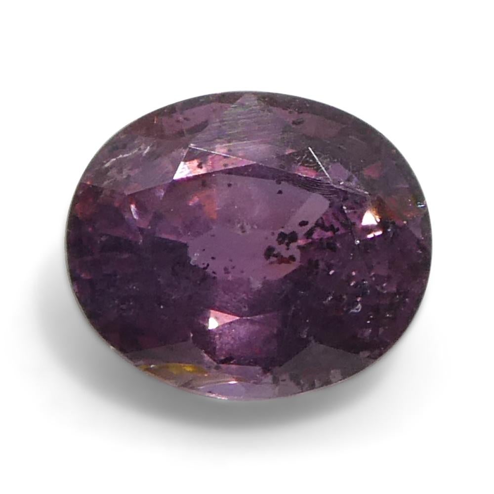 Zafiro ovalado rosa púrpura de Tanzania, sin calentar, 1,23 quilates en venta 3
