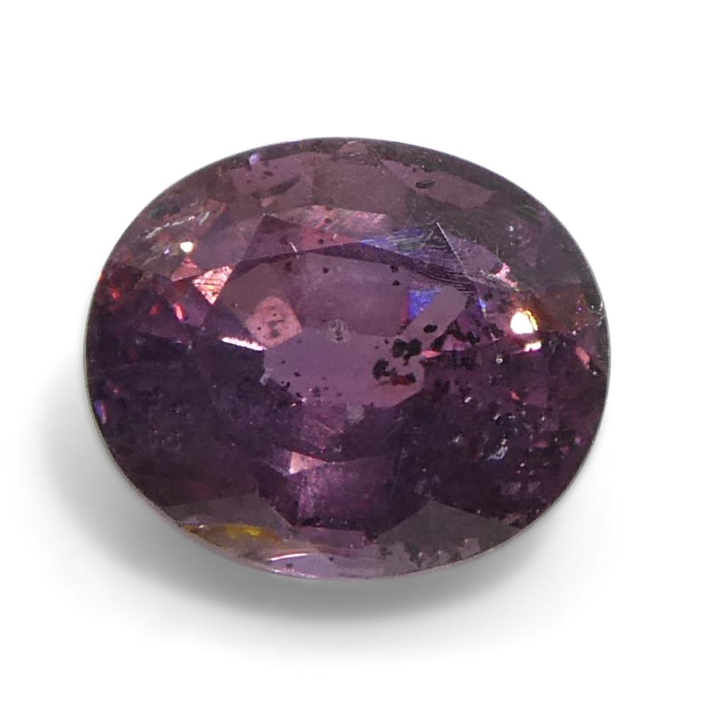 Zafiro ovalado rosa púrpura de Tanzania, sin calentar, 1,23 quilates en venta 4