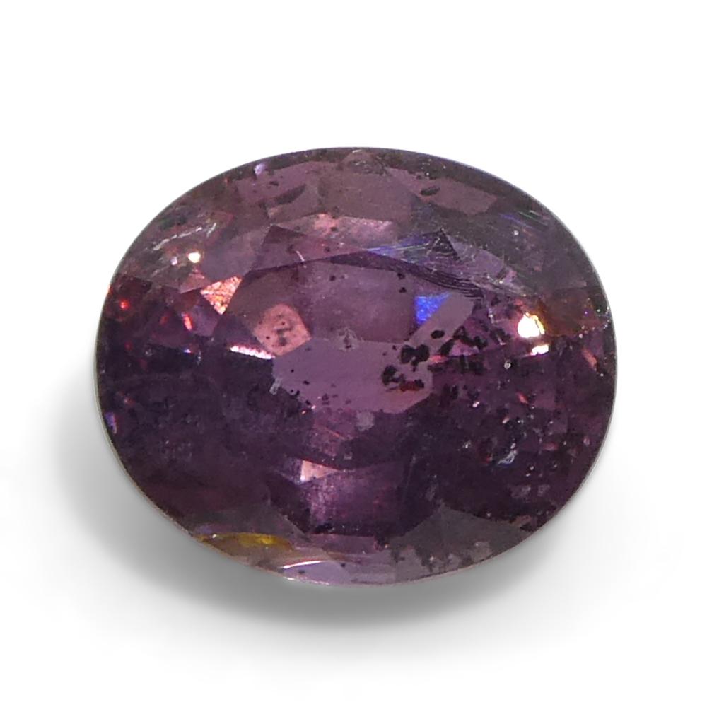 Zafiro ovalado rosa púrpura de Tanzania, sin calentar, 1,23 quilates en venta 5
