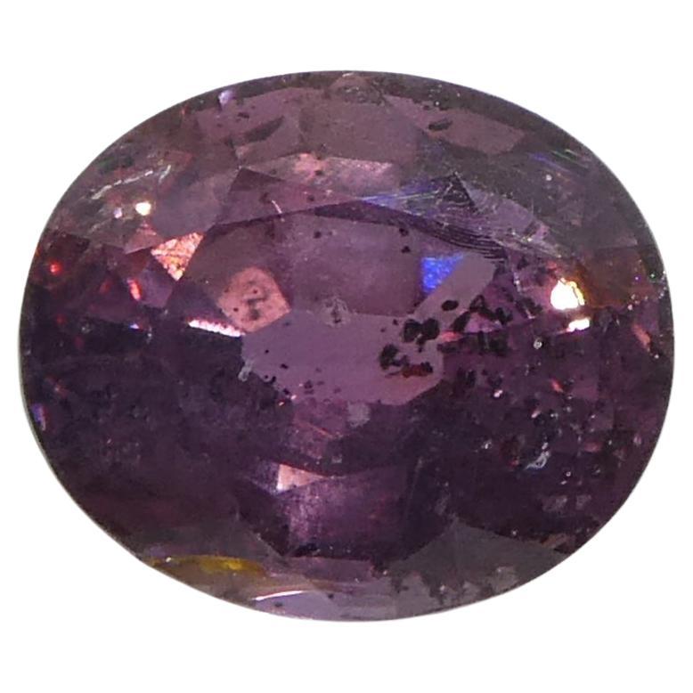 Zafiro ovalado rosa púrpura de Tanzania, sin calentar, 1,23 quilates en venta