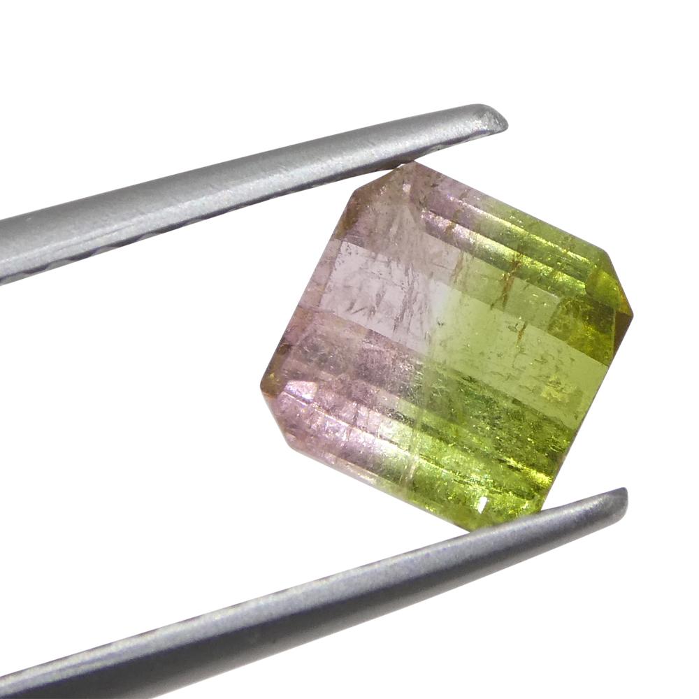 1.23ct Square Pink & Green Bi-Colour Tourmaline from Brazil For Sale 3