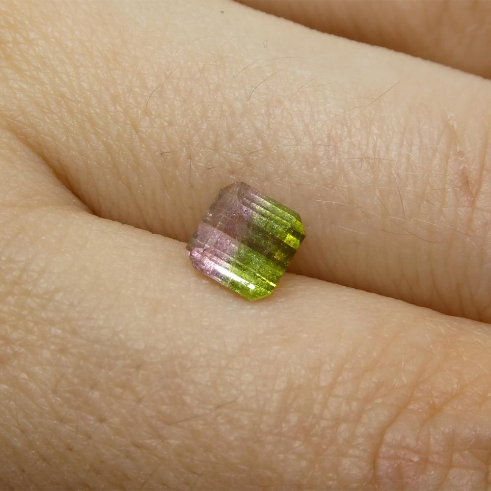 1.23ct Square Pink & Green Bi-Colour Tourmaline from Brazil For Sale 4