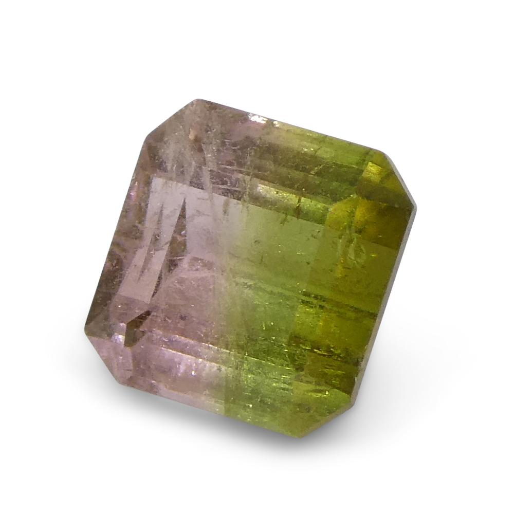 1.23ct Square Pink & Green Bi-Colour Tourmaline from Brazil For Sale 6