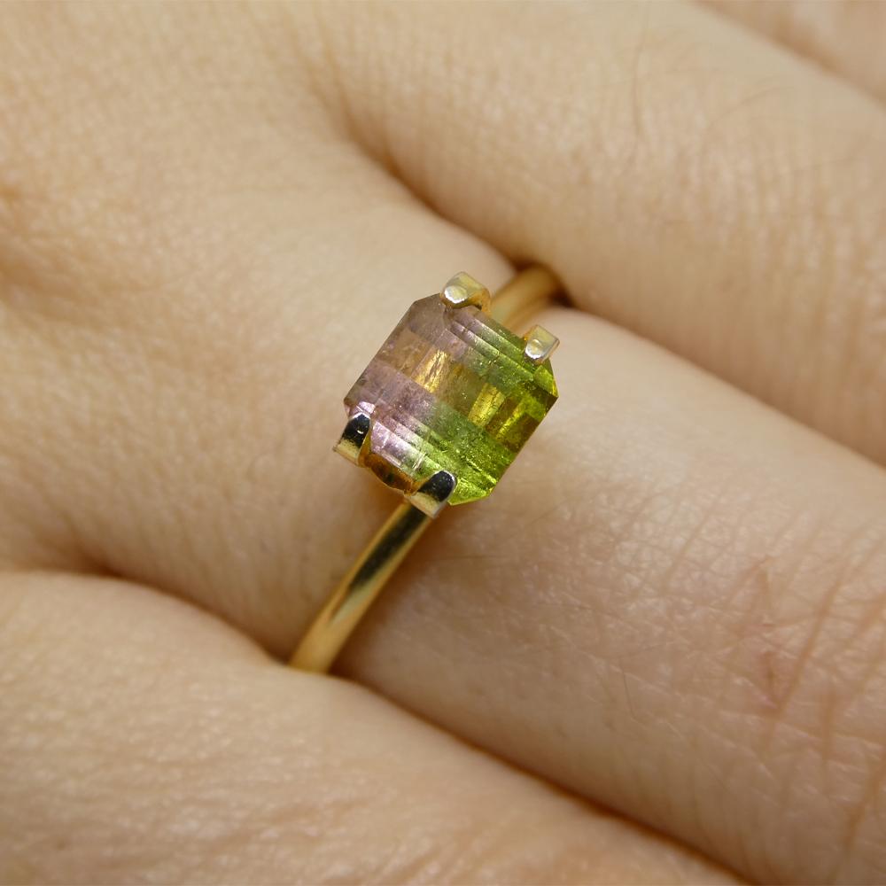 Description:

Gem Type: Bi-Colour Tourmaline
Number of Stones: 1
Weight: 1.23 cts
Measurements: 5.95 x 5.80 x 4.15 mm
Shape: Square
Cutting Style Crown: Step Cut
Cutting Style Pavilion: Step Cut
Transparency: Transparent
Clarity: Slightly Included: