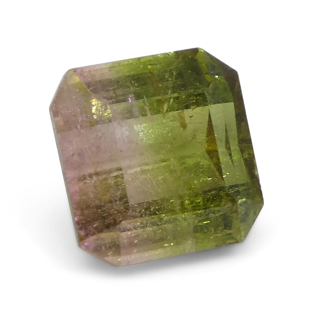 Women's or Men's 1.23ct Square Pink & Green Bi-Colour Tourmaline from Brazil For Sale