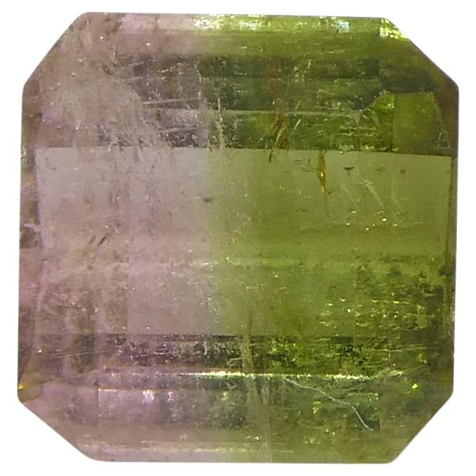 1.23ct Square Pink & Green Bi-Colour Tourmaline from Brazil For Sale