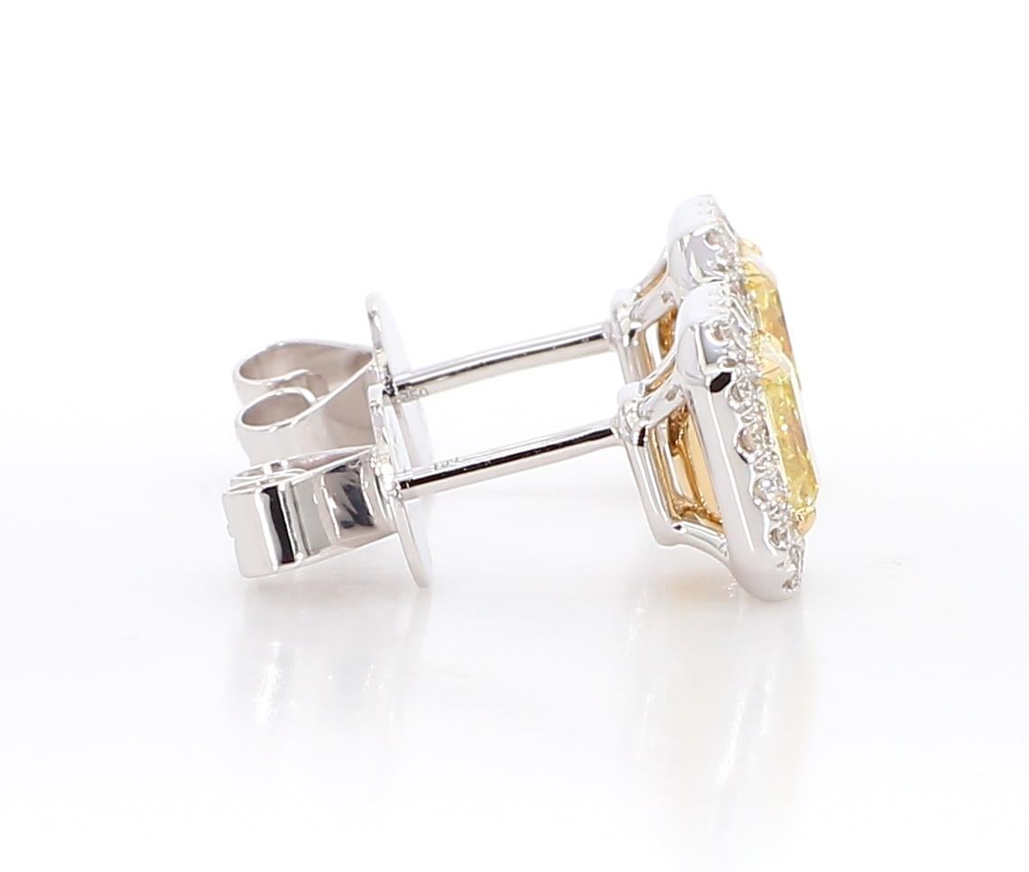 Boucles d'oreilles en diamant jaune de 1,24 carats [halo de diamant blanc] 18K WG 2