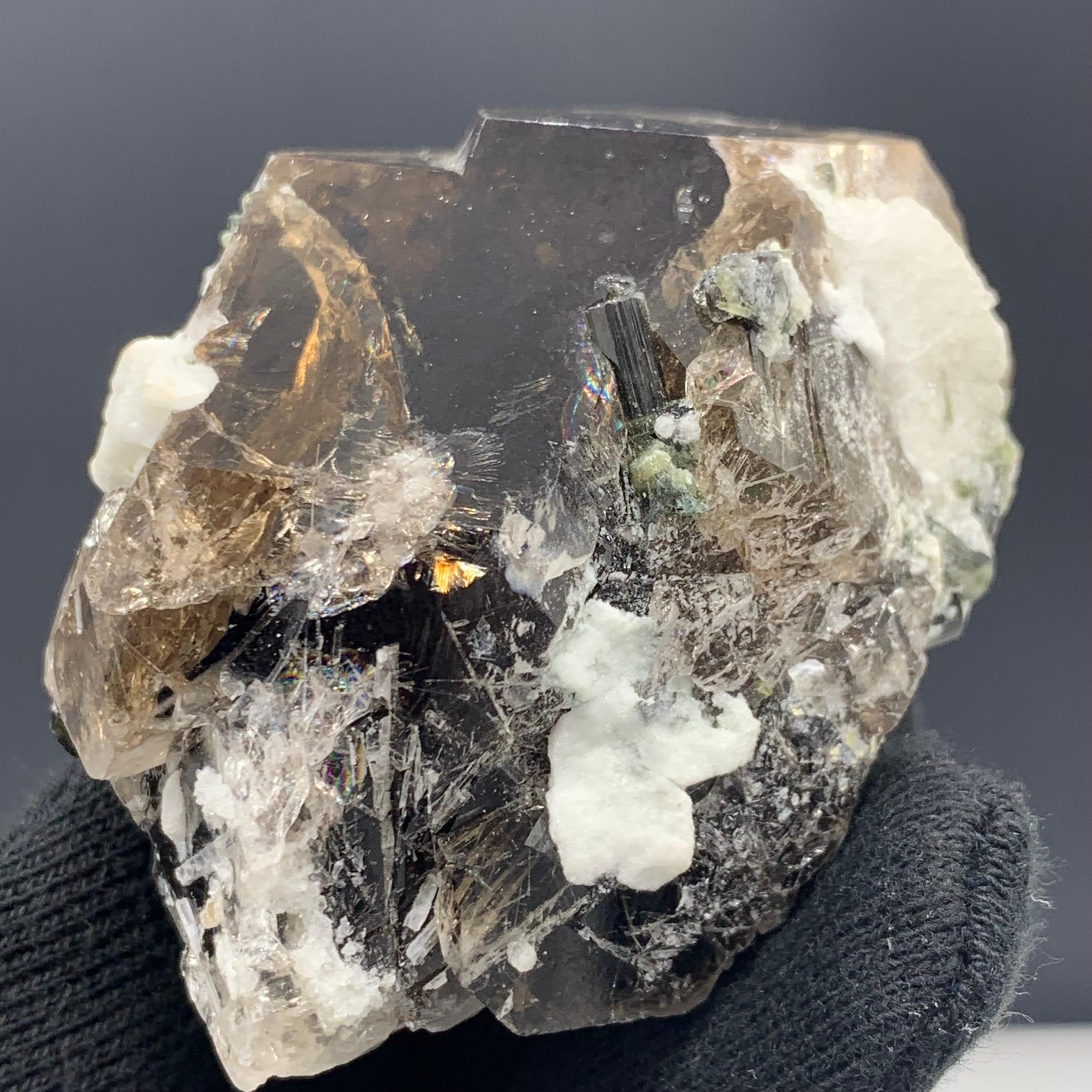 124.27 Gram Lovely Smoky Quartz With Tourmaline Crystals From Skardu, Pakistan 

Weight: 124.27 Gram 
Dimension:4.8 x 6.7 x 4.5 Cm
Origin: Skardu, Pakistan 

Smoky quartz is known for dispersing fear or negativity and removing depression. It can be