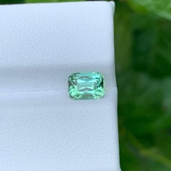 1.25 Carat Natural Loose Seafoam Tourmaline Stone Cushion Cut Afghan Gemstone