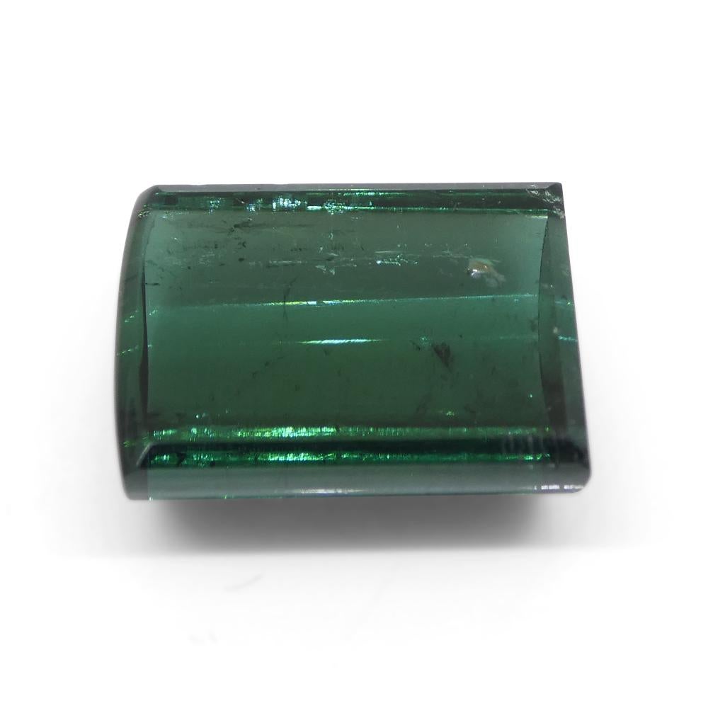Tourmaline verte bleutée cabochon de 12,52 carats en vente 2