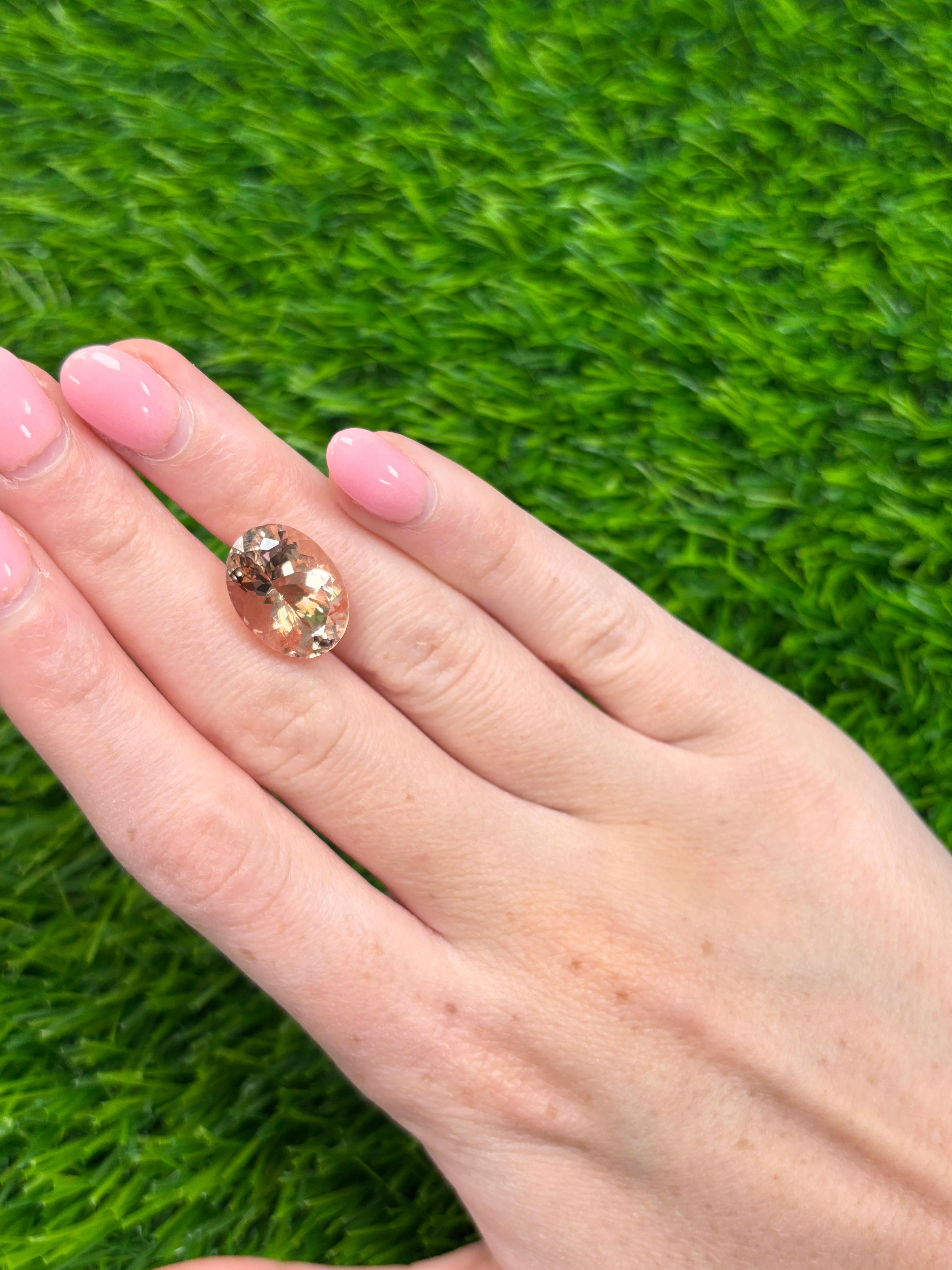 Taille ovale 12.55 Carat Oval-Cut Natural Pink Morganite Loose Gemstone (pierre précieuse en vrac) en vente