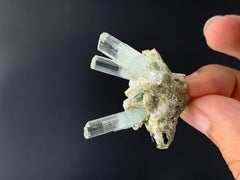 12.57 Elegantes Trio Aquamarin Exemplar mit Schörl befestigt aus Pakistan
